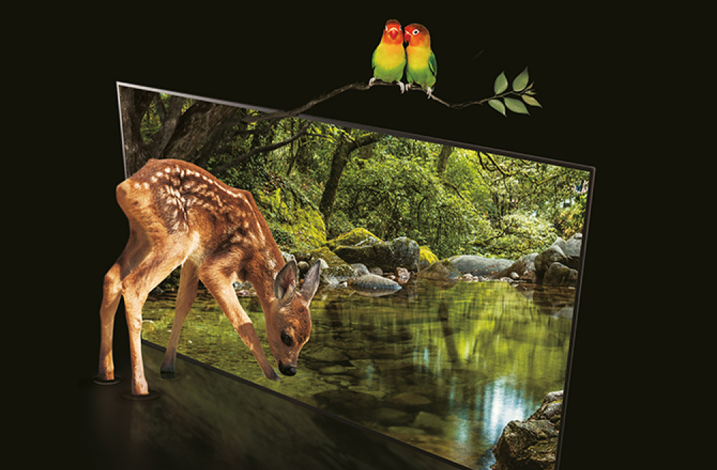 A deer rushes into OLED TV with a green forest, and two rainbow birds sit on the branches above it.