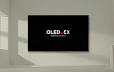 OLED_EX
