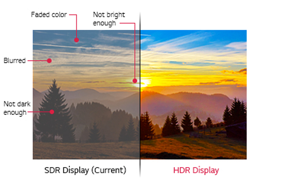 HDR for true-to-life clarity